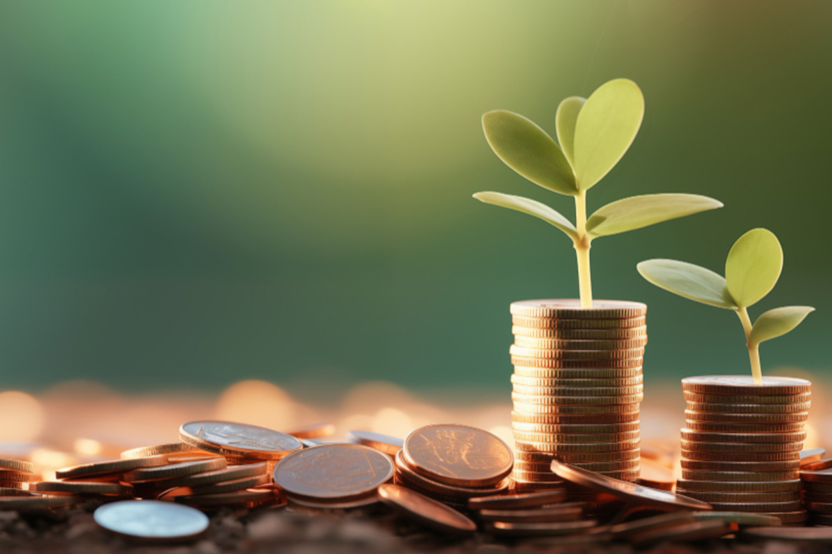 Tax Optimizer